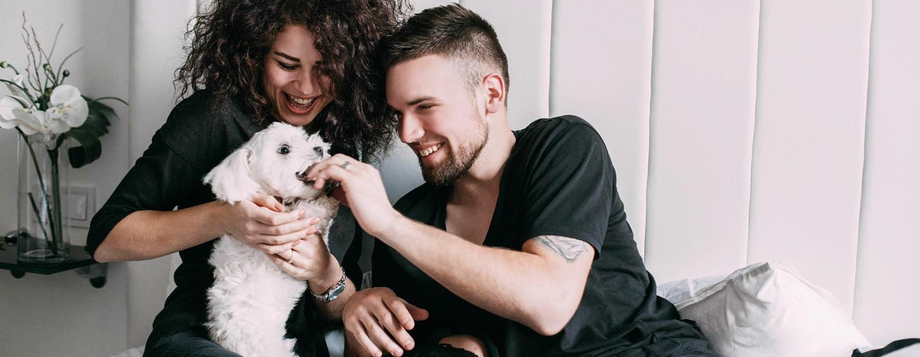 a man and woman sitting on a bed playing with a dog